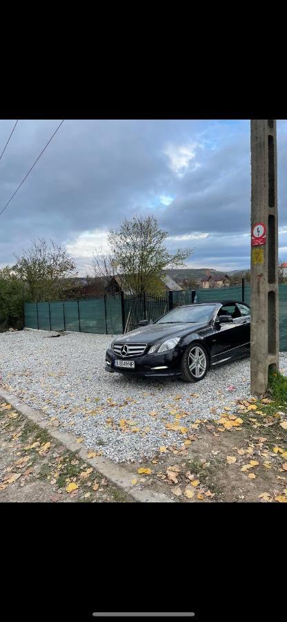 Cabana Tip A La 300 M De Castel Hunedoara Exterior foto