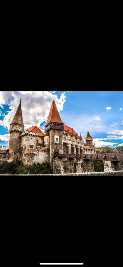 Cabana Tip A La 300 M De Castel Hunedoara Exterior foto